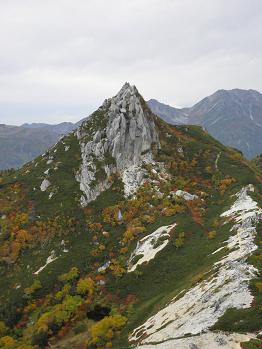 d0032405_20423623.jpg
