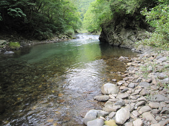 d0241509_22502644.jpg
