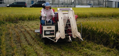 b0204710_1841836.jpg