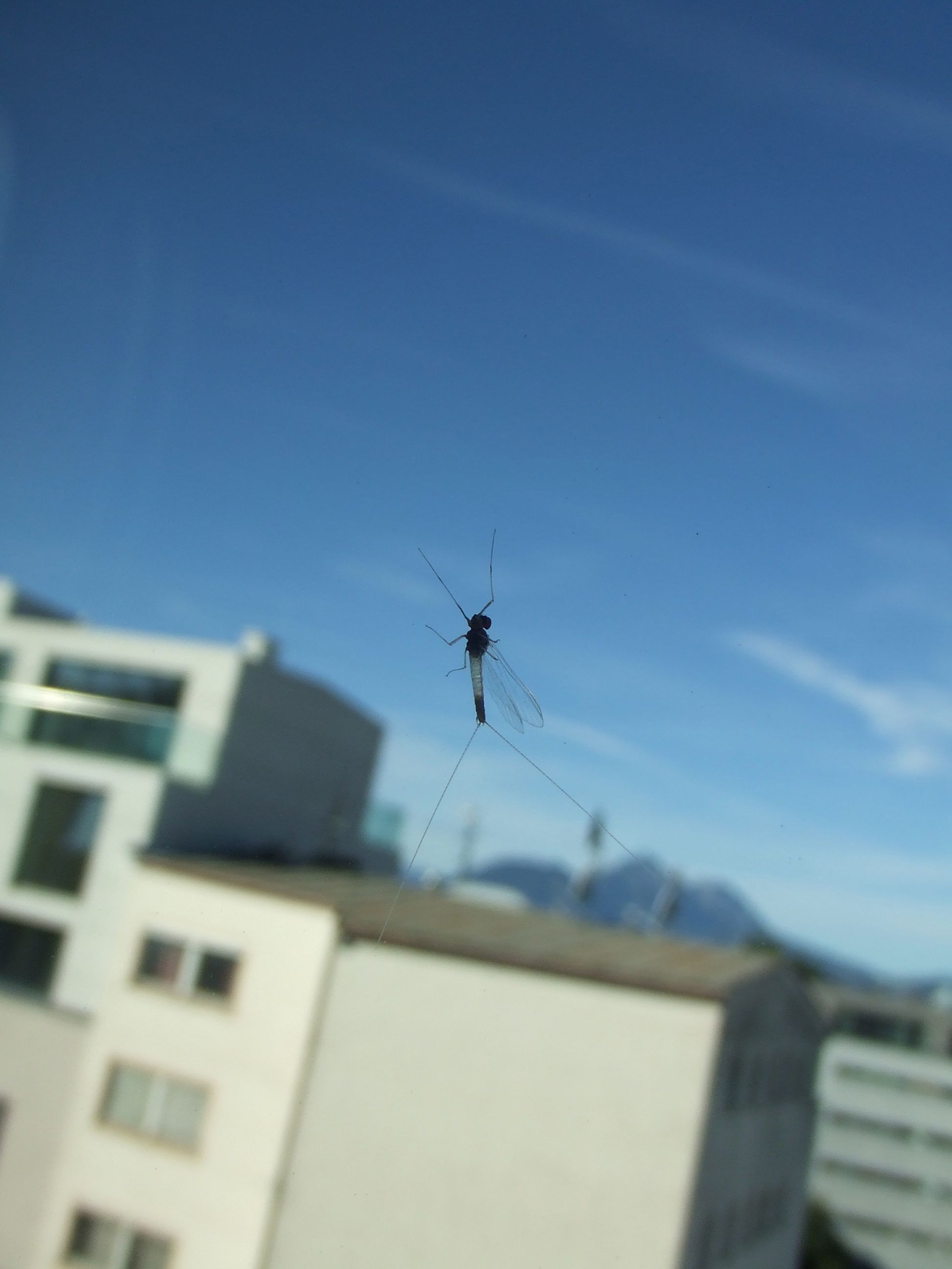 c0167813_18354717.jpg