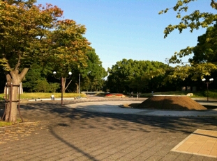 a0275715_166425.jpg