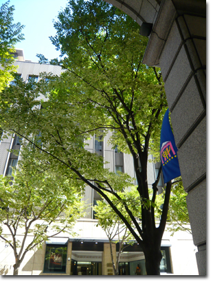 b0019820_21351834.jpg