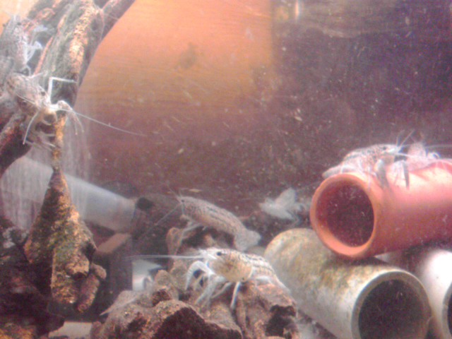a0291521_10214186.jpg