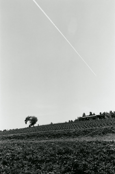 f0182924_2343570.jpg