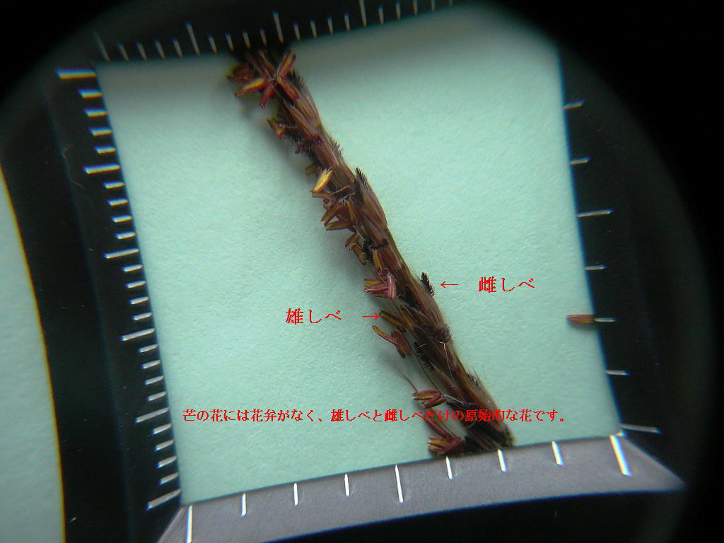 d0024426_10273494.jpg
