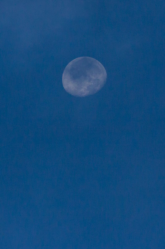 b0177233_520858.jpg