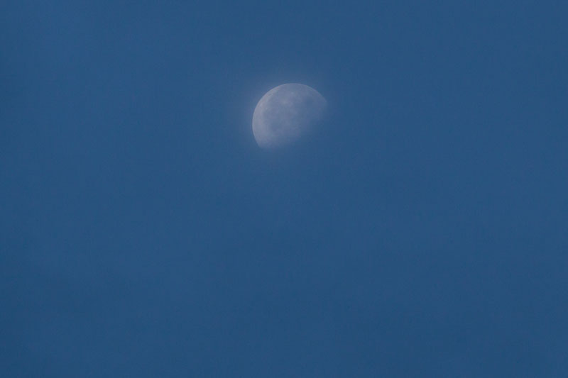 b0177233_5284747.jpg