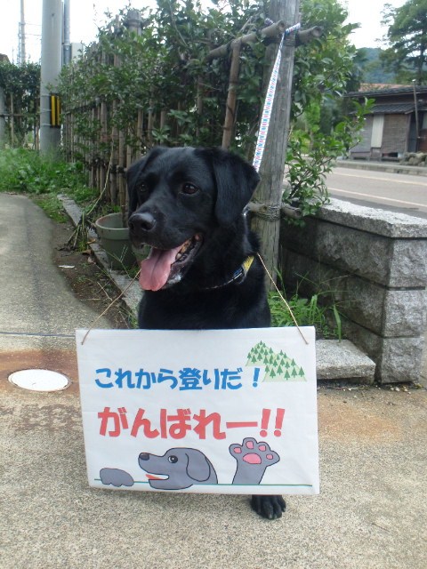 f0131535_2010882.jpg
