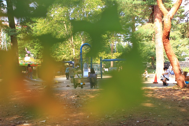 c0229539_8554051.jpg