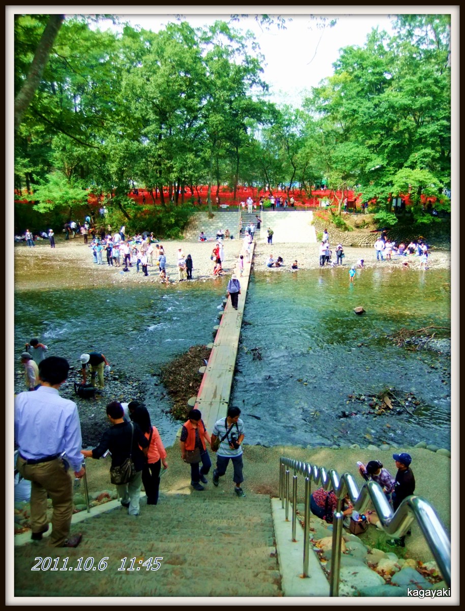 e0206242_22161456.jpg