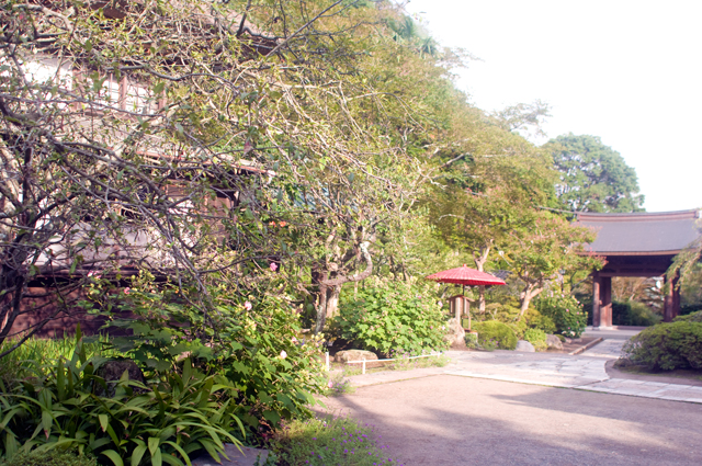 f0176458_1841439.jpg