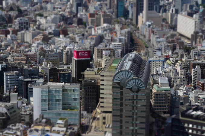 c0080861_14131956.jpg