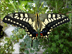 a0035766_1424549.jpg