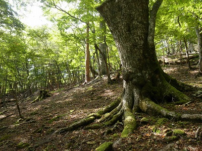 f0057070_2113047.jpg