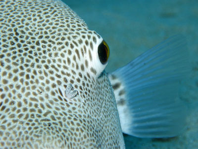 b0033573_235112.jpg