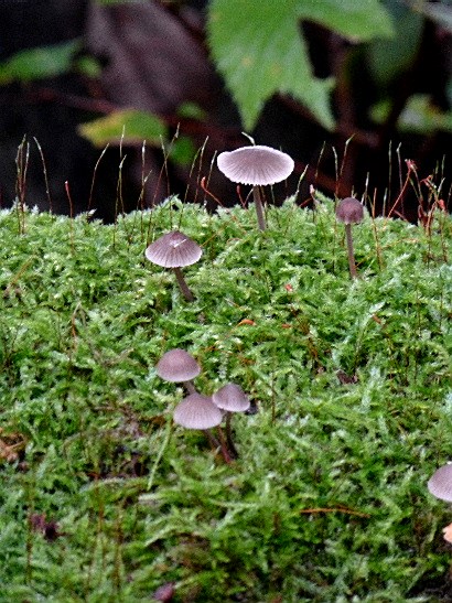 d0084473_19164929.jpg