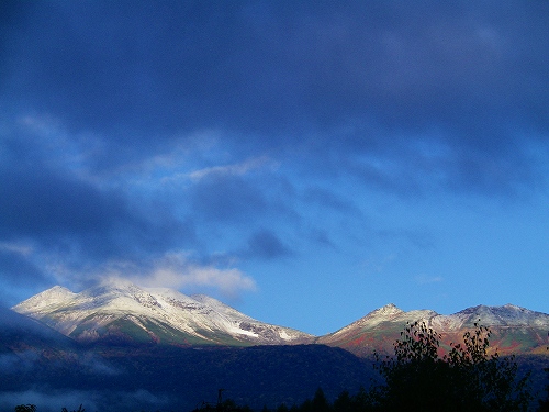 f0182173_92645.jpg