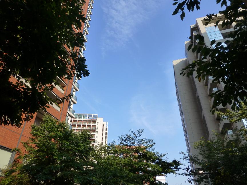 a0157174_235462.jpg