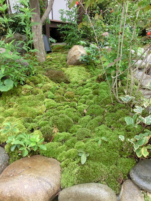 f0223677_17305752.jpg