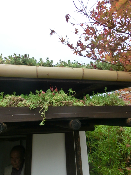 f0223677_1732519.jpg