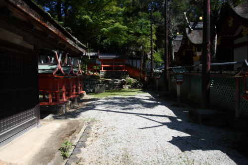 a0278378_21122592.jpg