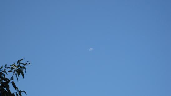 e0237580_12411729.jpg