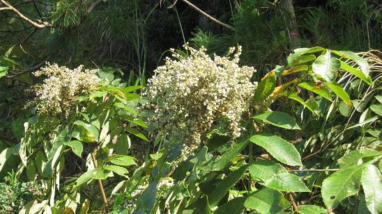 e0237580_12414996.jpg