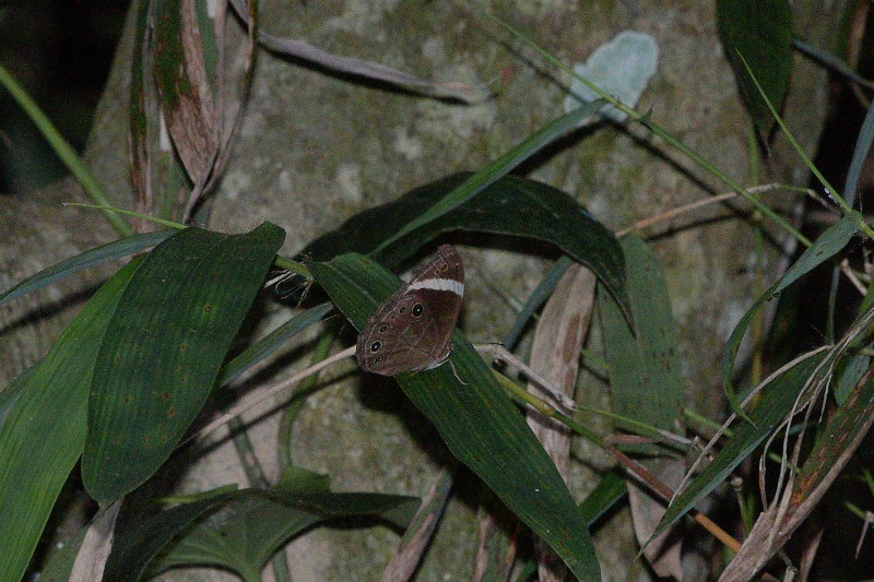 f0090680_13133966.jpg
