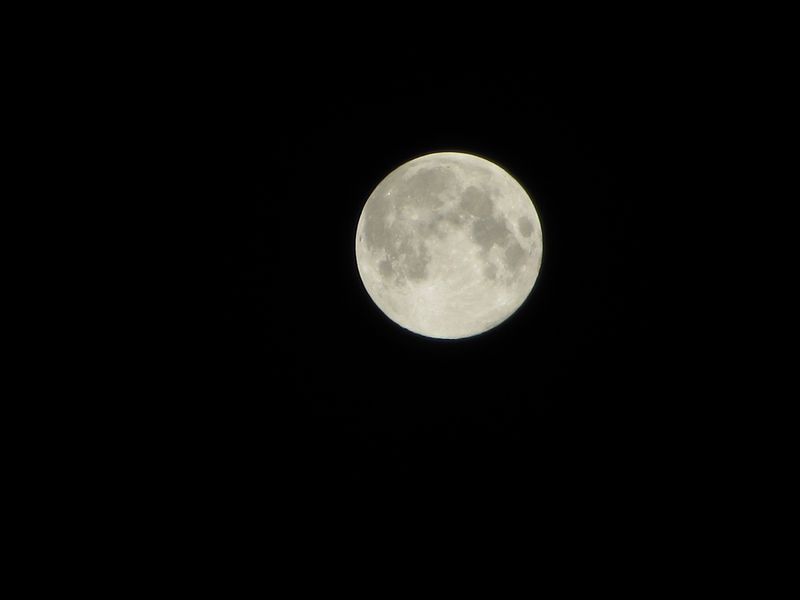 b0202185_13241212.jpg