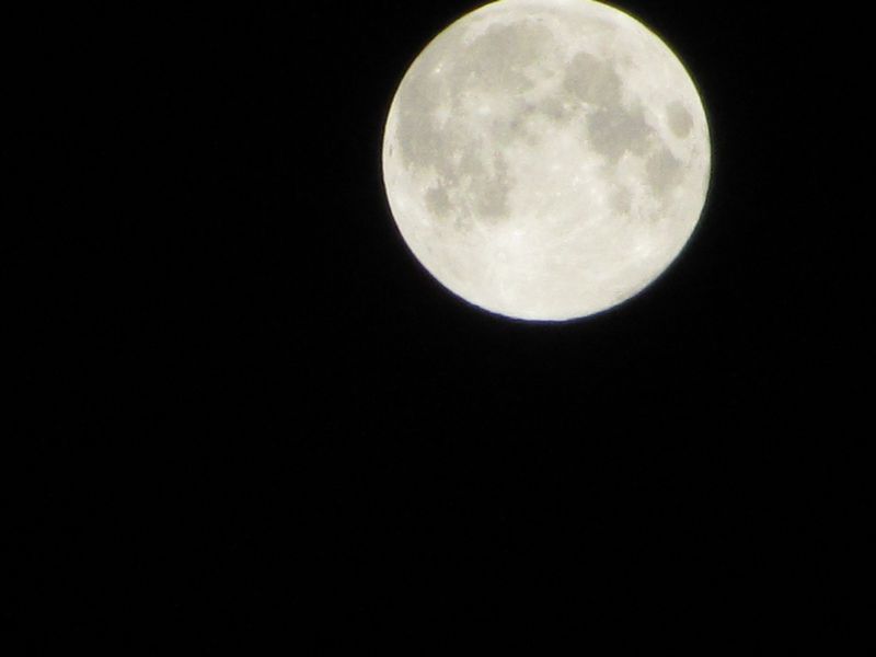 b0202185_13242863.jpg
