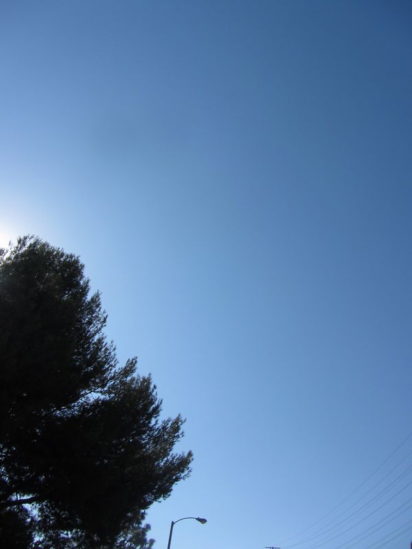 b0202185_13422560.jpg