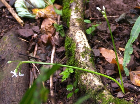 c0144185_12113955.jpg