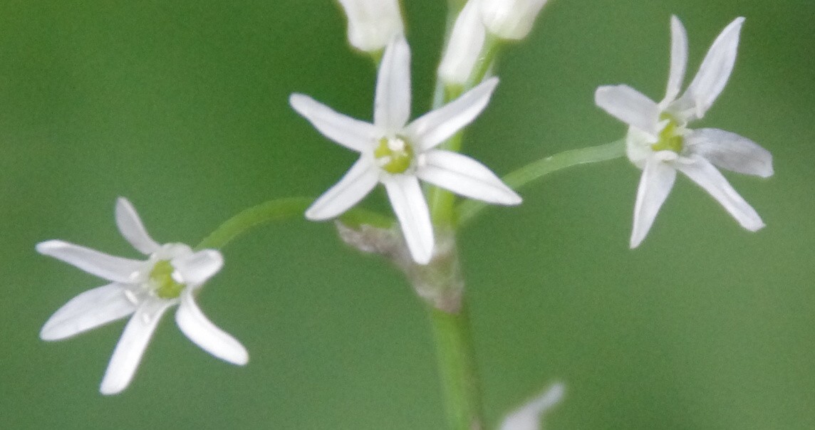 c0144185_1454978.jpg