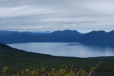 a0133886_21244597.jpg