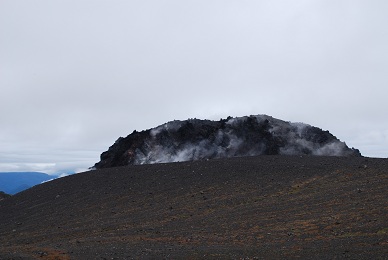 a0133886_21265187.jpg