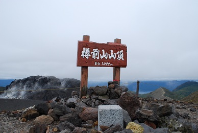 a0133886_21272445.jpg