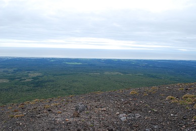 a0133886_21295477.jpg