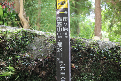 a0234491_11573216.jpg