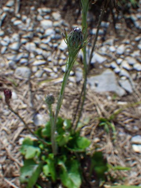 e0295994_21115987.jpg