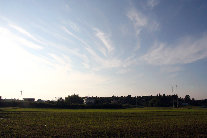 d0100095_18104246.jpg