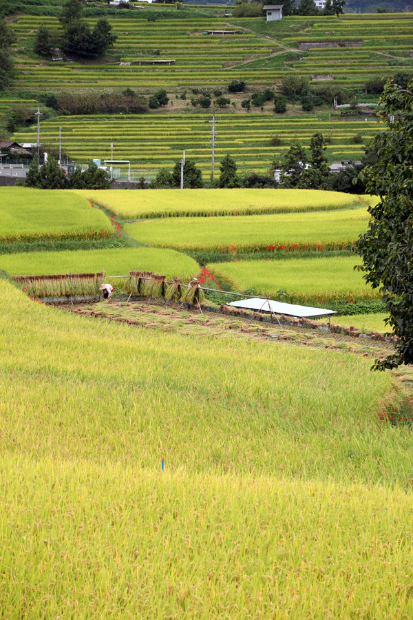 d0192097_17301178.jpg