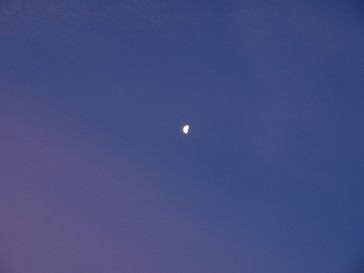b0110999_15361578.jpg