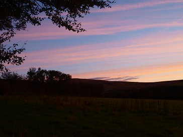 b0110999_15364366.jpg