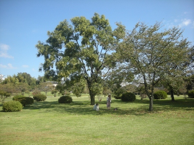 f0081100_2158081.jpg