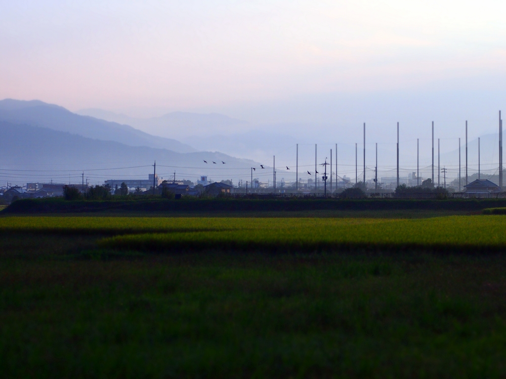 b0138101_519071.jpg