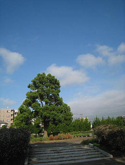 d0046702_21143299.jpg