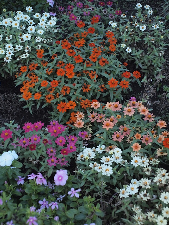 c0187503_1929226.jpg