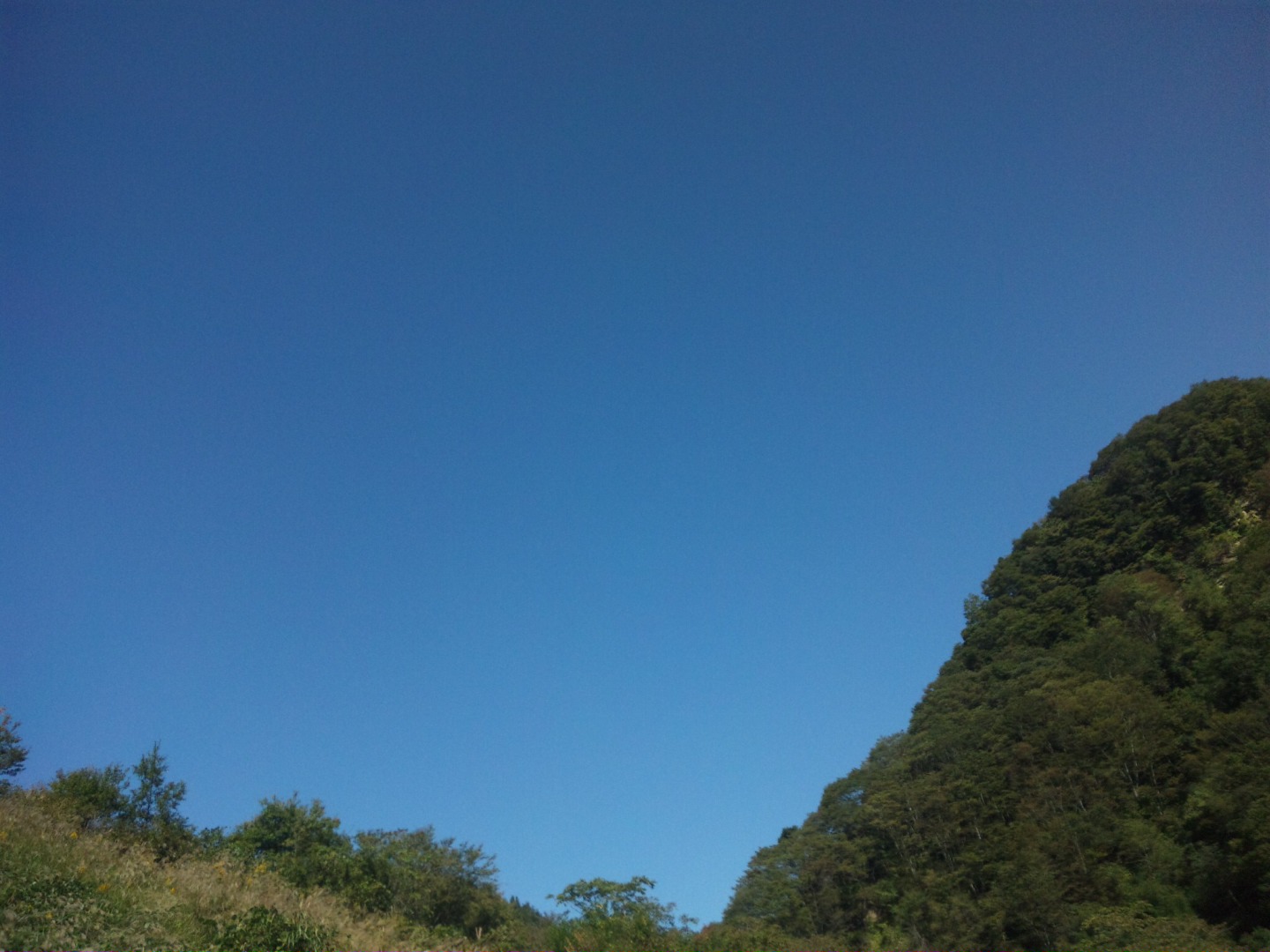 c0126205_13555973.jpg