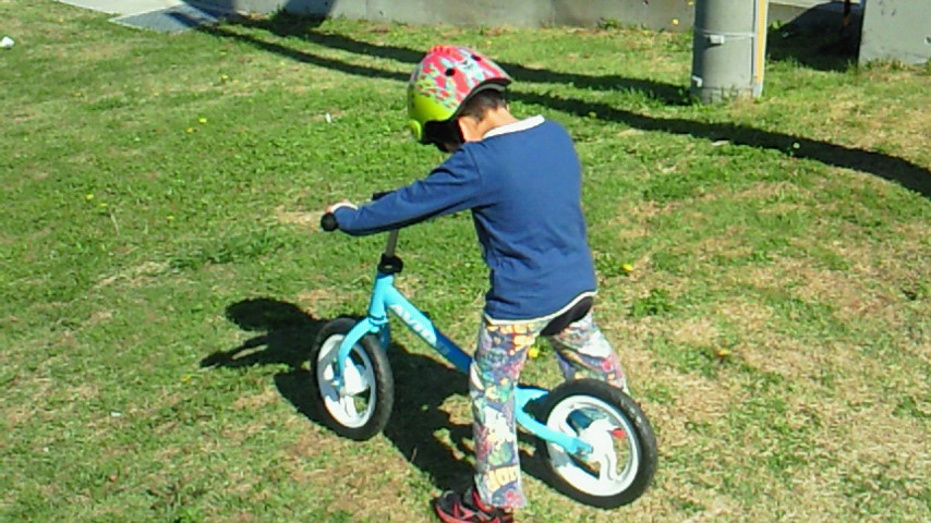 d0149105_11291863.jpg