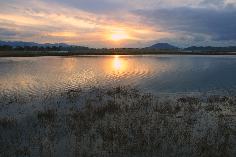 a0212807_17412230.jpg